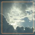 600x452 (50.9 KB)